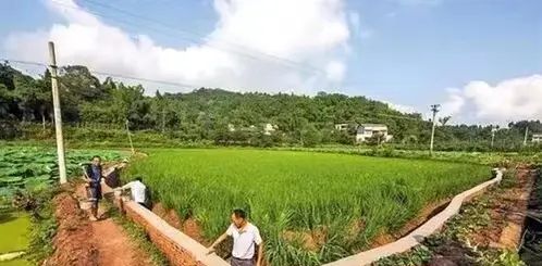 农民朋友的基本农田有多特别？ - 宋马