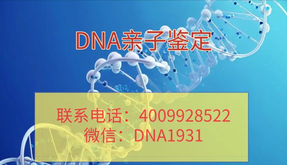 深圳亲子鉴定机构有哪些 深圳亲子鉴定收费标准（2024深圳亲子鉴定机构地址列表）