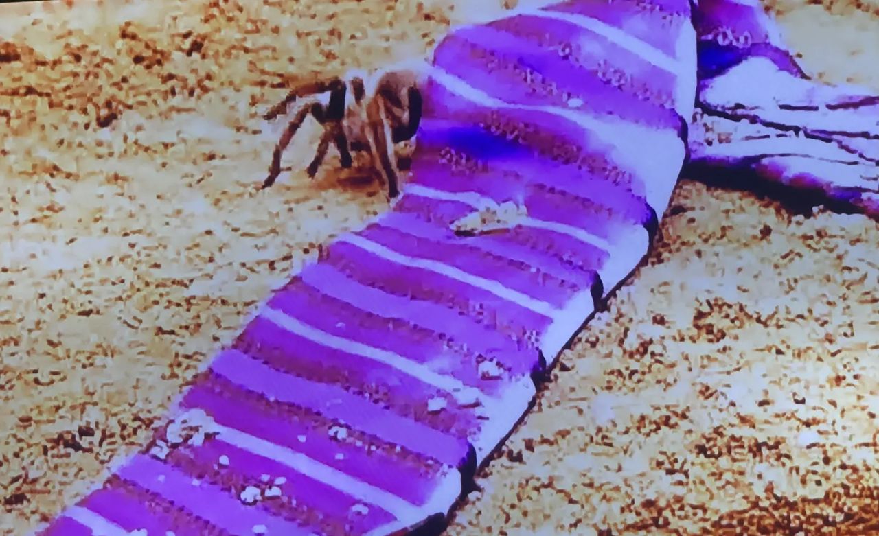 《风骚律师》观后