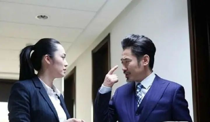 熊玲：电视剧《离婚律师》的人格面具