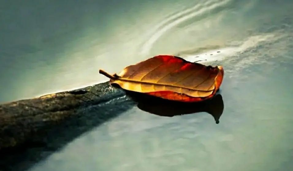 不离婚就要接受老公背叛的实际，咨询律师后，我终于下定了决心