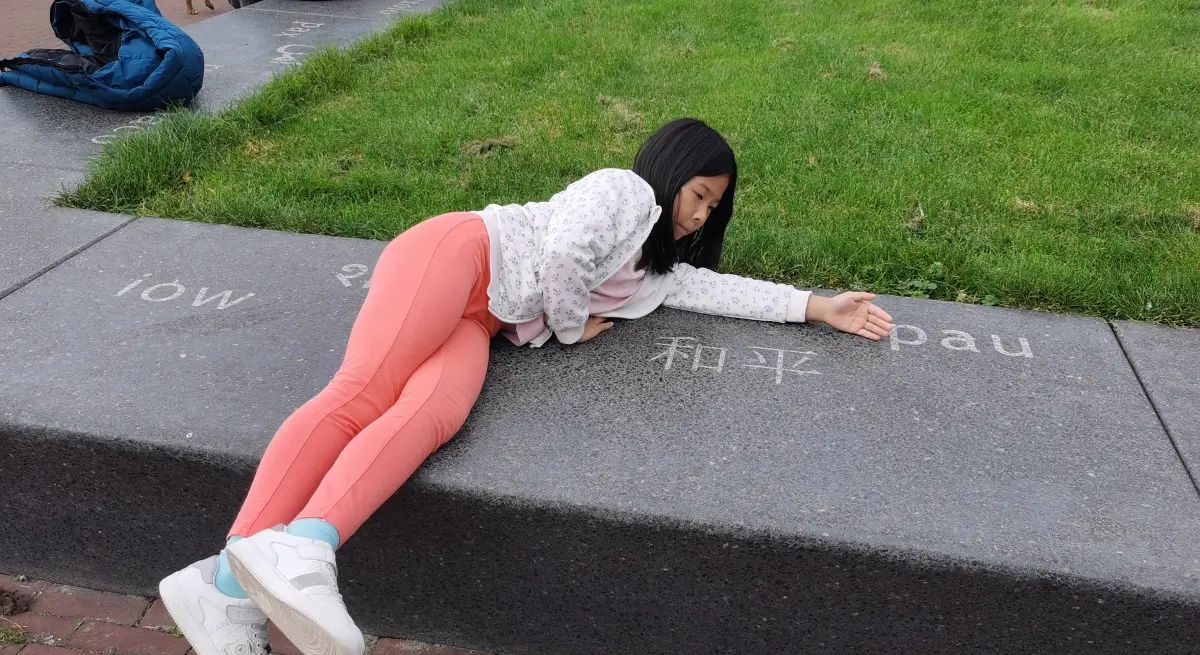 国际法院-荷兰行3 - 宋马