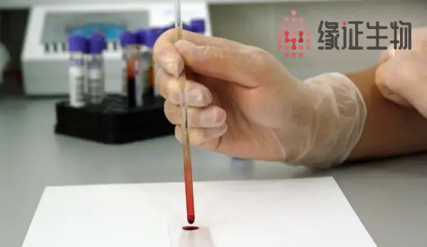 济南长清司法亲子鉴定中心地址在哪里？附济南长清最全司法鉴定地址信息