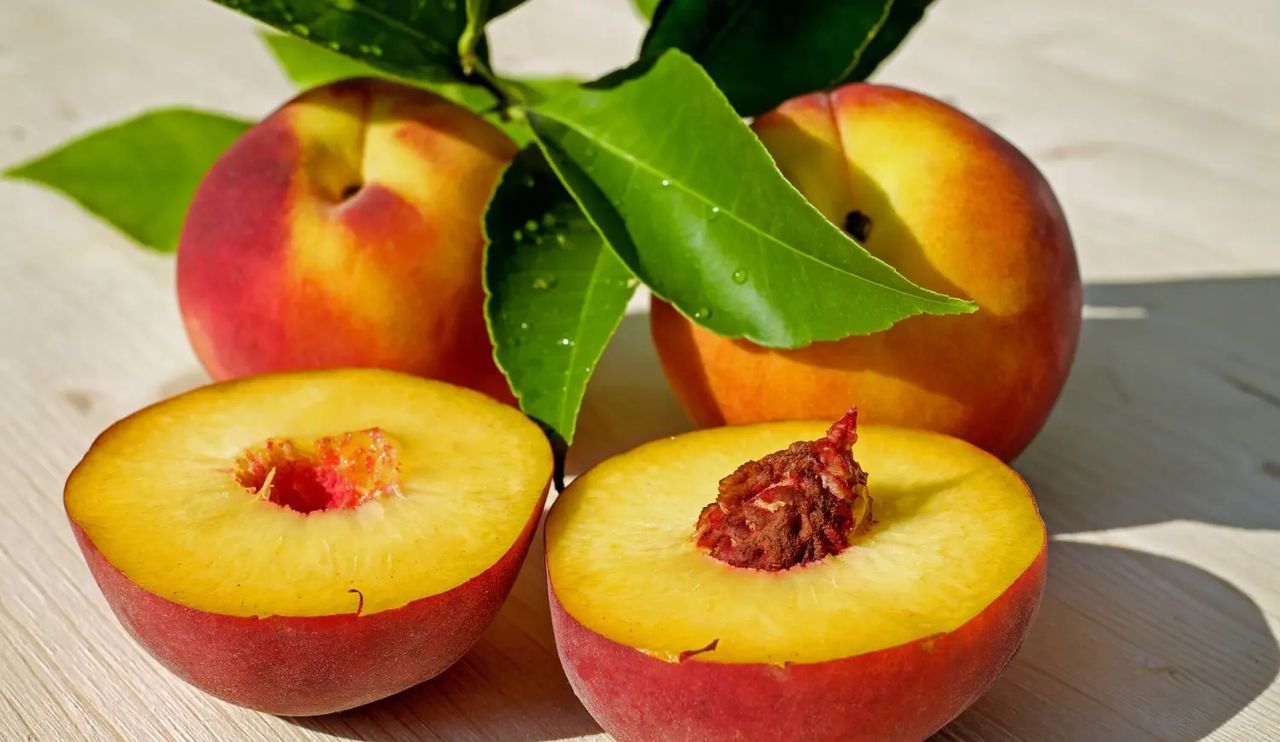 1907年诺贝尔奖测定光速、搞定疟疾、讲丛林之书