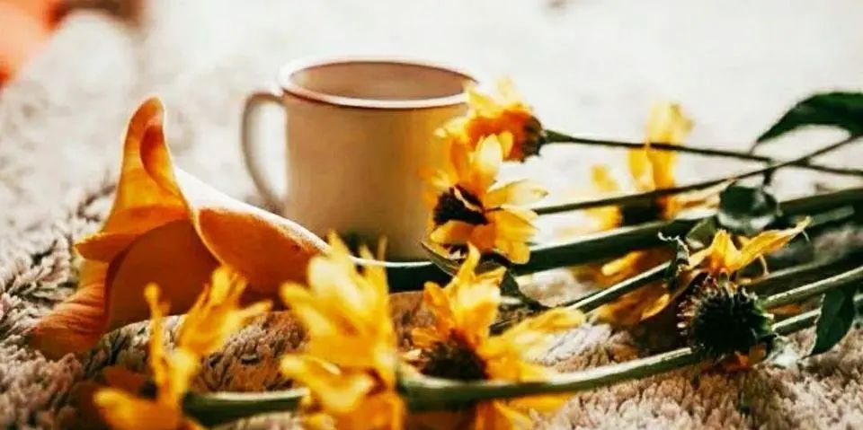 不离婚就要接受老公背叛的事实，咨询律师后，我终于下定了决心 - 宋马