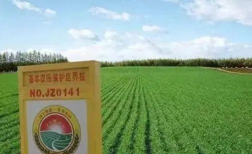 农民朋友的基本农田有多特别？ - 宋马