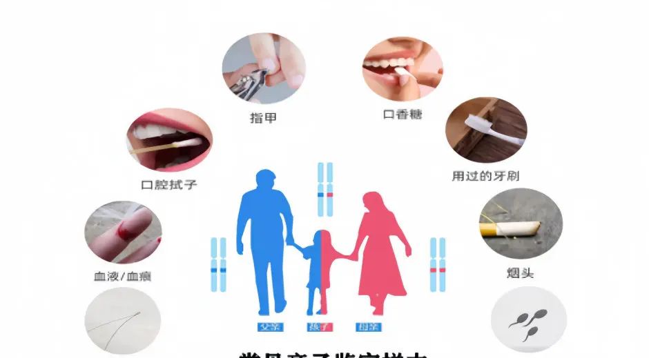 成都市在哪里做亲子鉴定机构有16家（2024年流程以及地址）