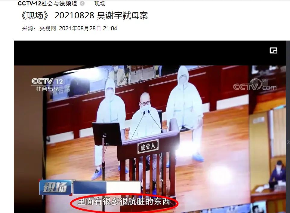 吴谢宇案庭审视频首次披露：称世界上没有比他妈妈更好的“女人、妻子、妈妈”