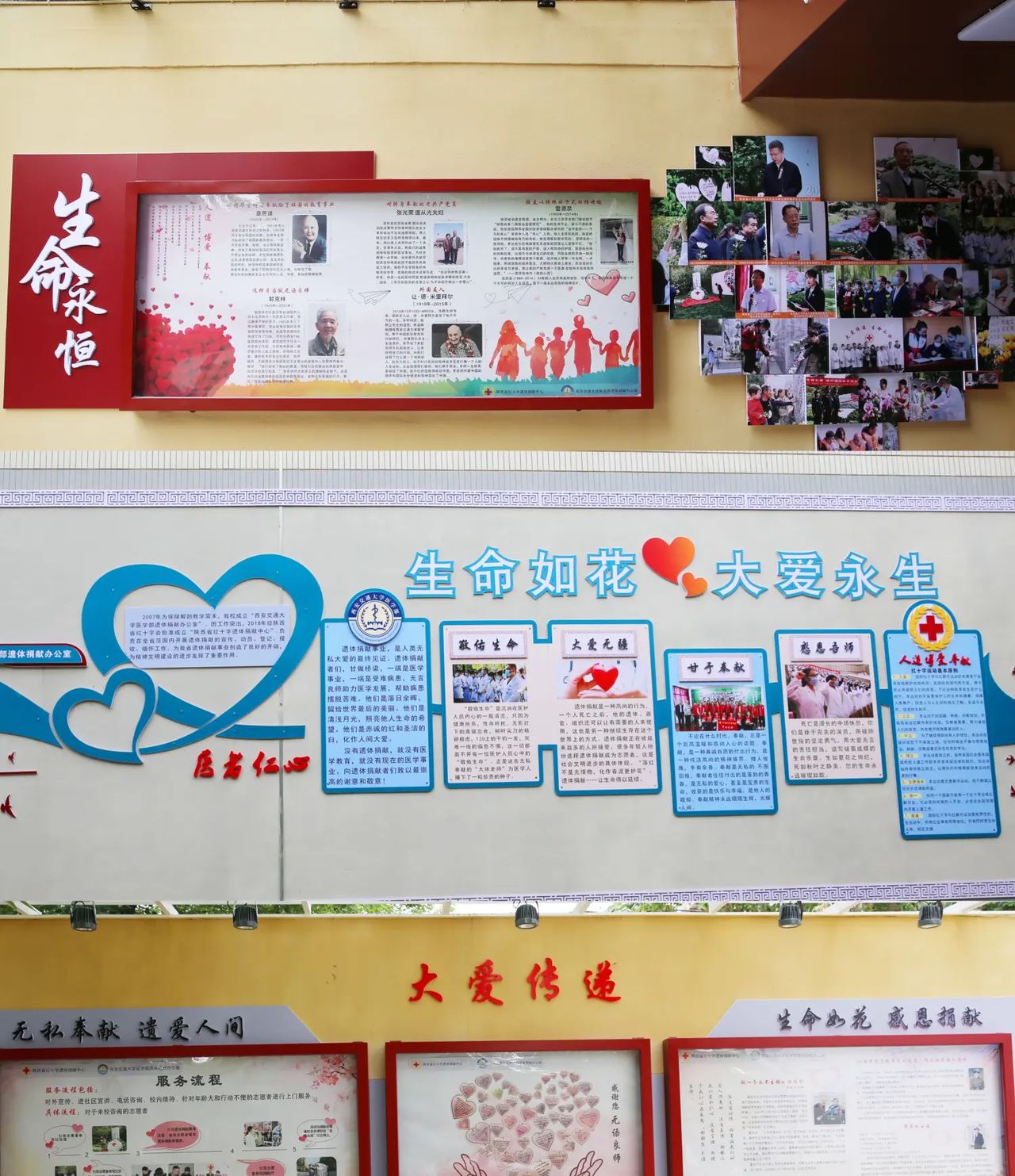 提升人文教育   助力医学事业——陕西省红十字遗体捐献中心人文教育基地竣工仪式暨人体器官捐献志愿服务月活动
