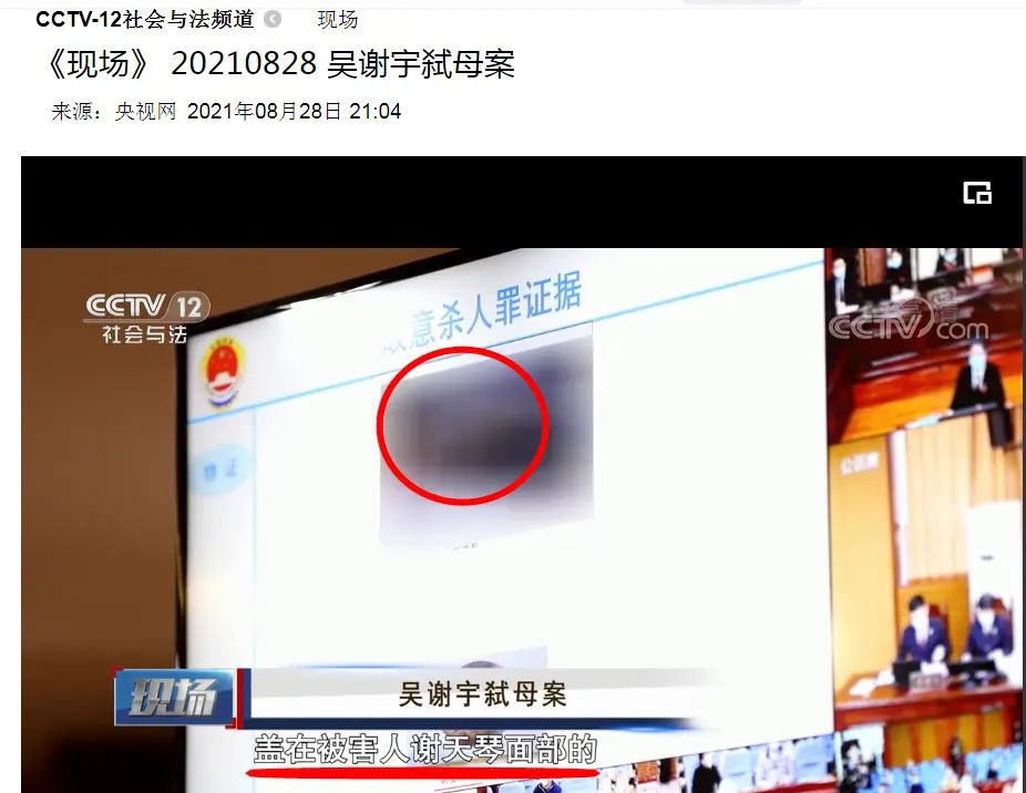 吴谢宇案庭审视频首次披露：称世界上没有比他妈妈更好的“女人、妻子、妈妈”