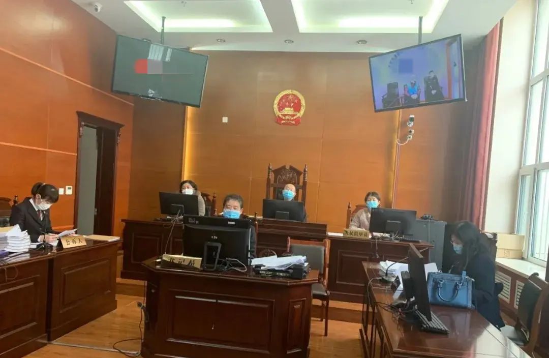 互联网法庭/远程庭审参考