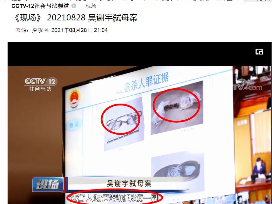 吴谢宇案庭审视频首次披露：称世界上没有比他妈妈更好的“女人、妻子、妈妈”