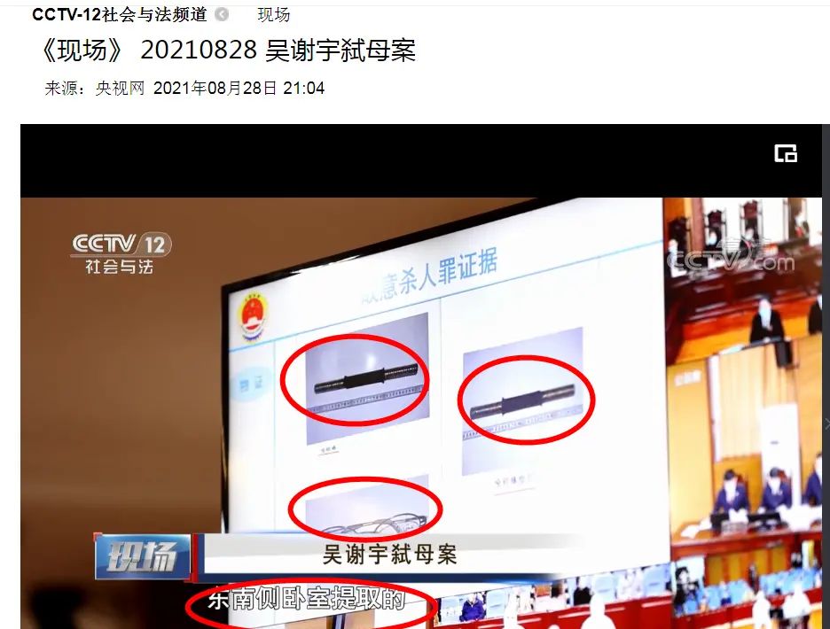 吴谢宇案庭审视频首次披露：称世界上没有比他妈妈更好的“女人、妻子、妈妈”