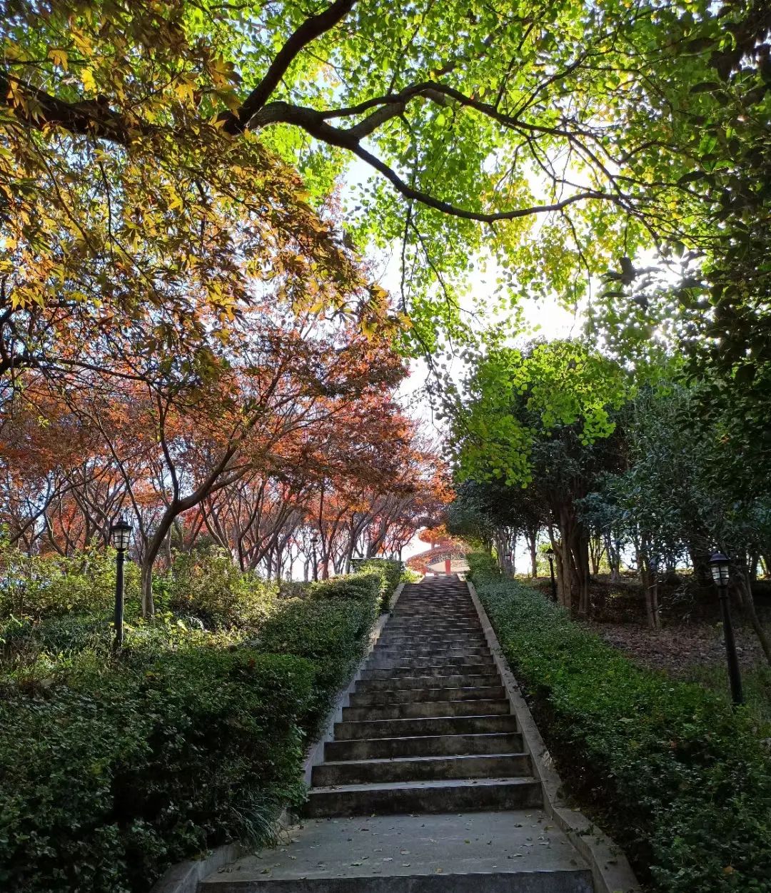 在信阳师范学院“研究生学术活动月——裁判文书大赛” 评审                     颁奖会议上的发言 - 宋马