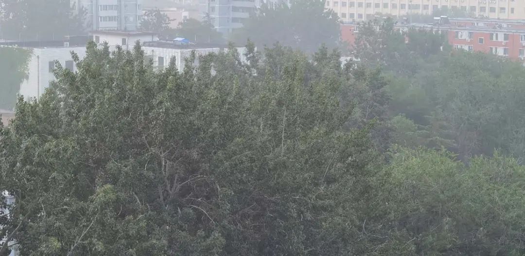 这是北京的早上？这是北京的早上，这真的是北京的早上