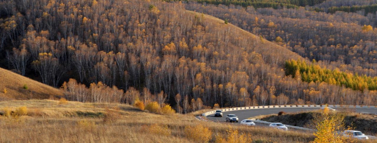 新修订《公司法》对强制执行业务的五大影响(附新旧对照) - 宋马
