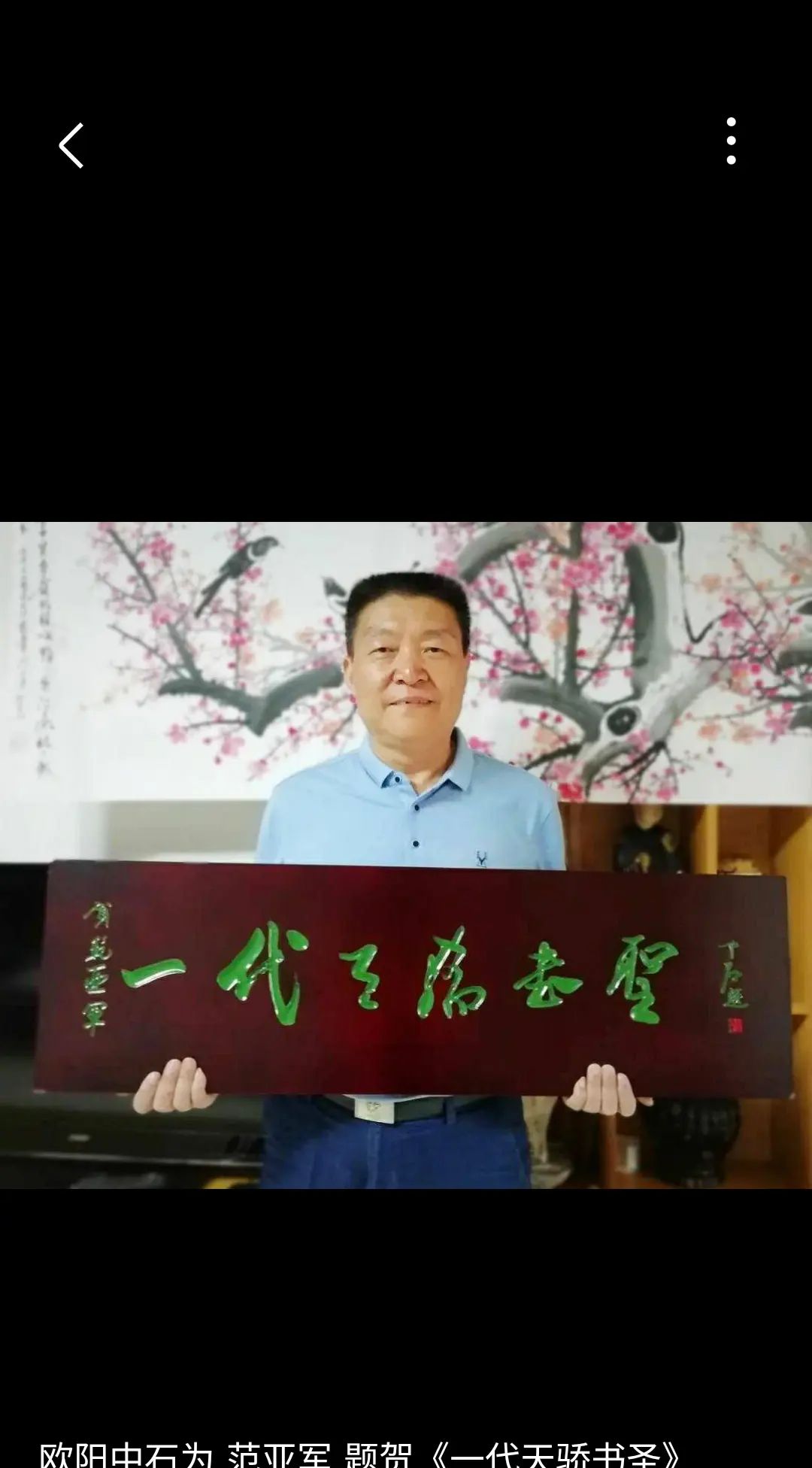 中央美术学院客座教授范亚军作品