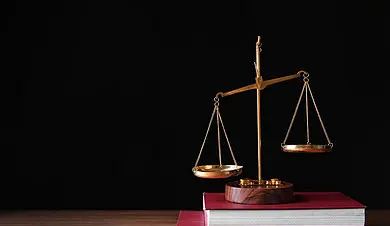 全流程知识产权服务：降本增效，高效创新