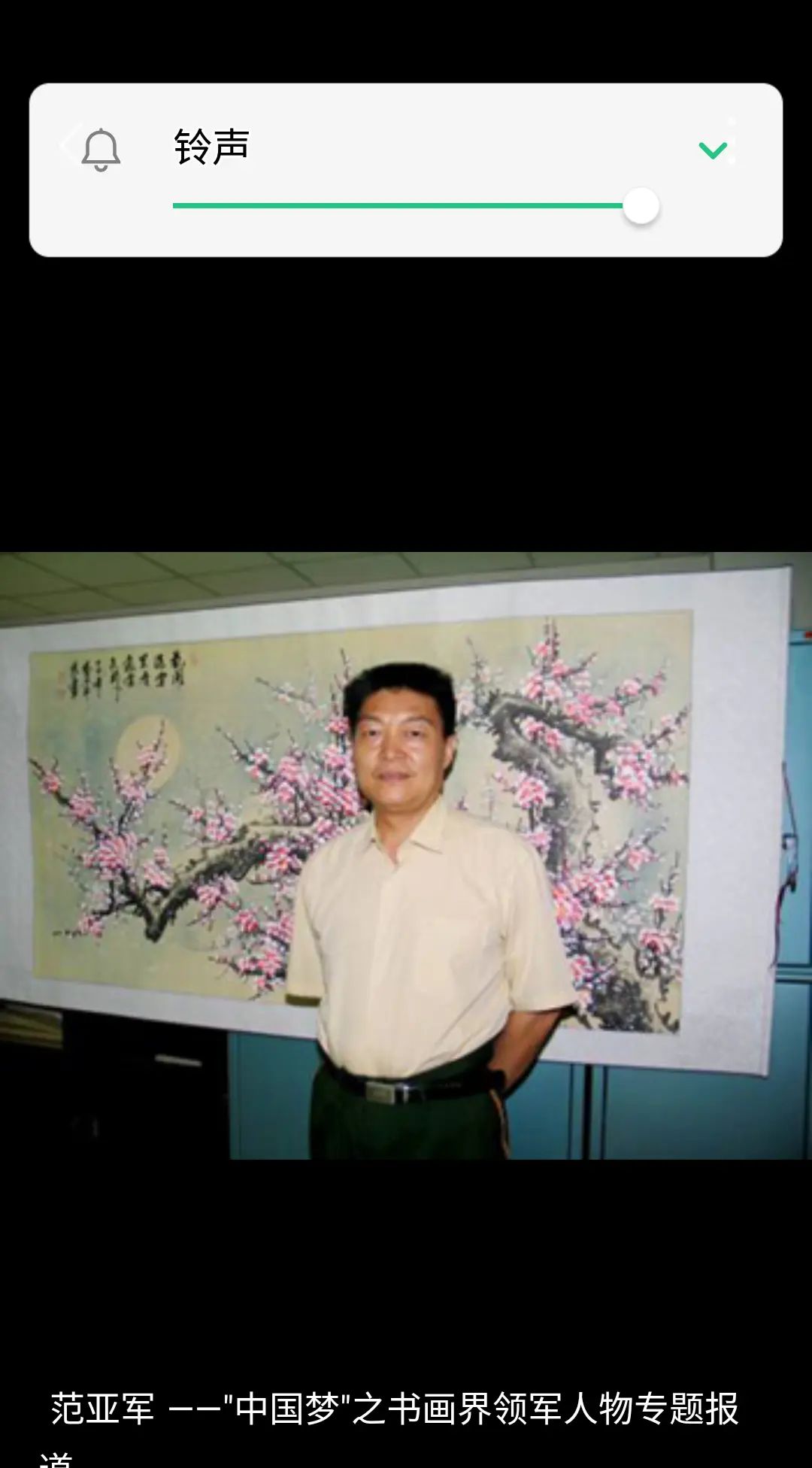 中央美术学院客座教授范亚军作品