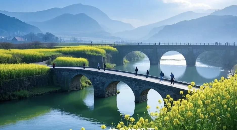 冷静下来！AI软件眼花缭乱，究竟哪款适合你？