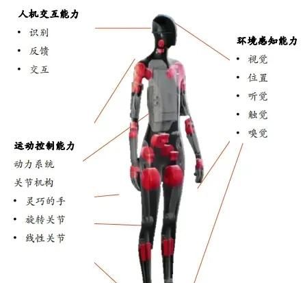 人形机器人进厂“实习”:科技狂欢还是资本噱头?