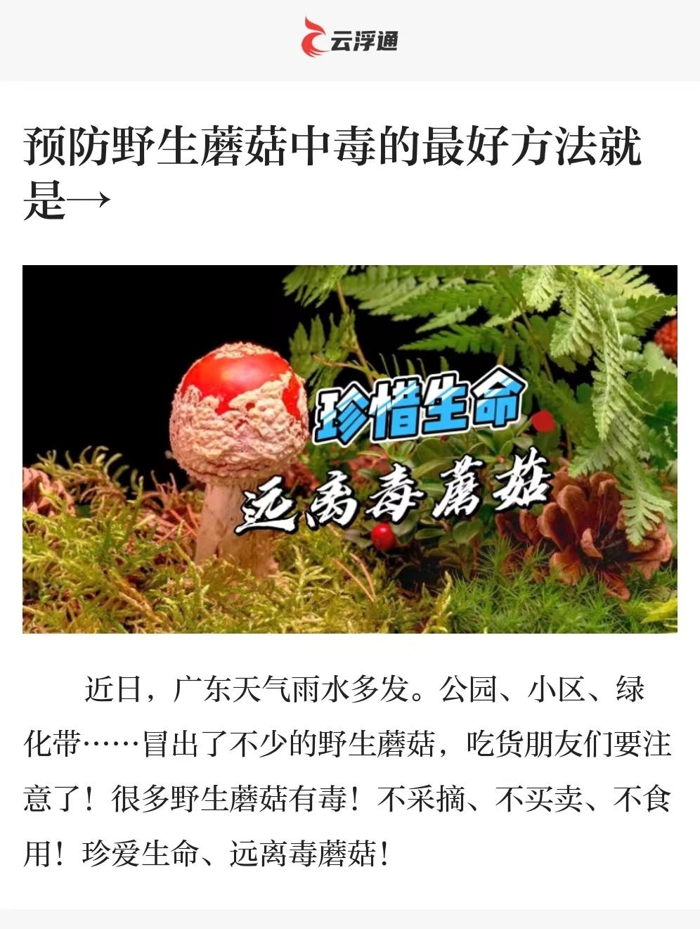 嘿！我们上线了新工具，一键DIY文章海报