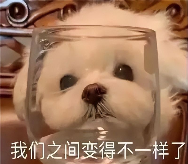CDR 快捷键大全 - 宋马
