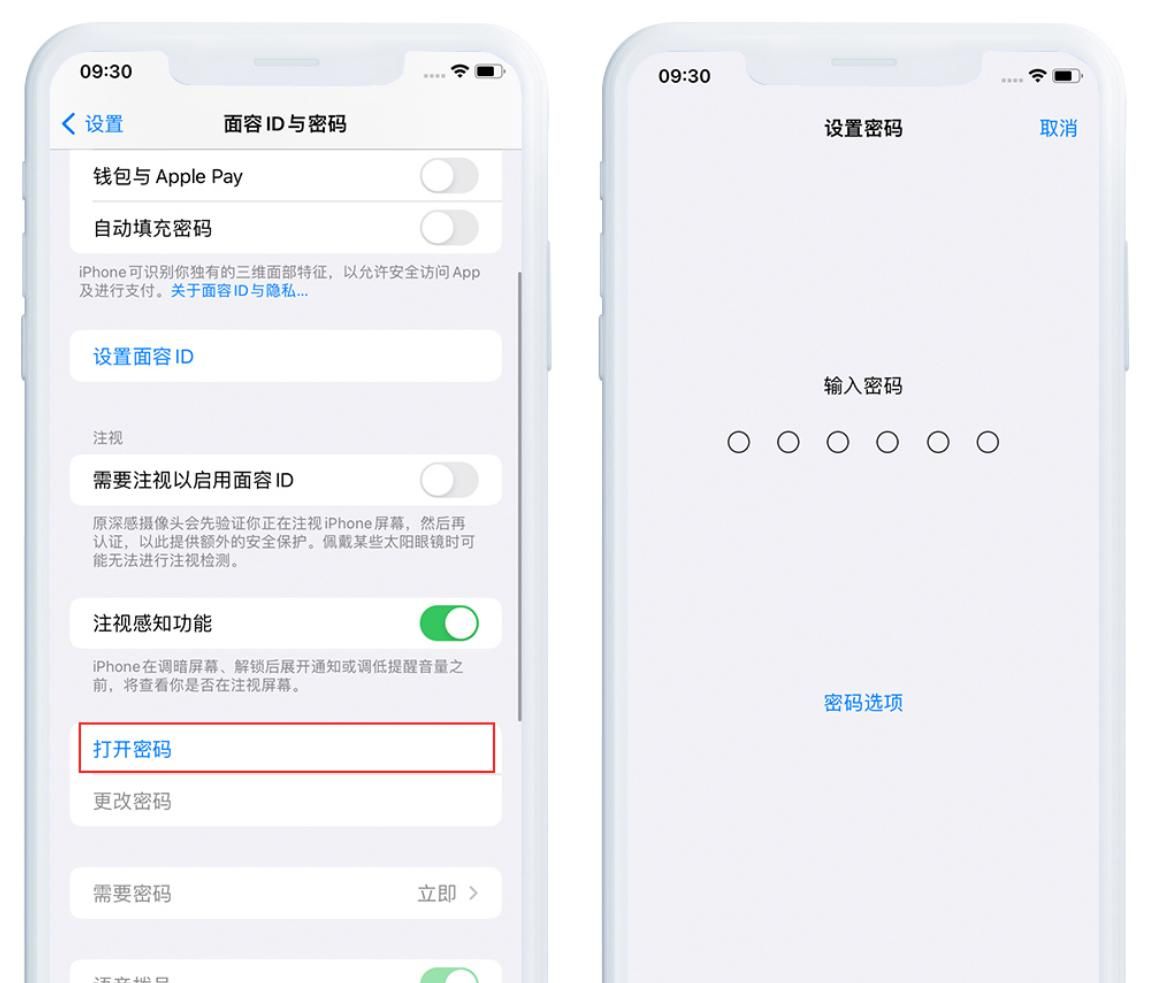 如何打开爱思助手全能版高级功能？全能版高级功能使用教程 - 宋马