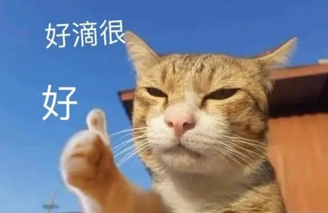“小白不可怕，拯救手残党”史诗级一键重装系统教程你学会了吗？