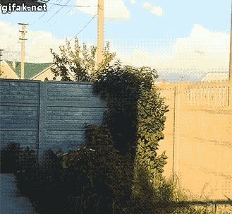 吃了一年的SU，最好用的插件都在这了