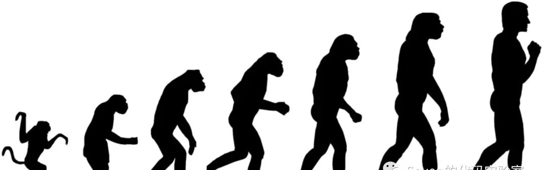 什么是软件架构？