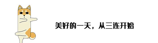 常用财务软件有哪些？会计记账软件不同点对比 - 宋马