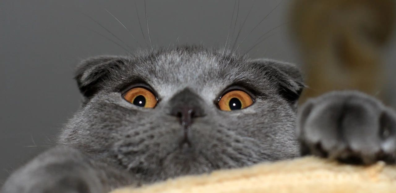 电脑驱动是什么？怎么安装驱动？这些知识点你再不知道就落伍了！