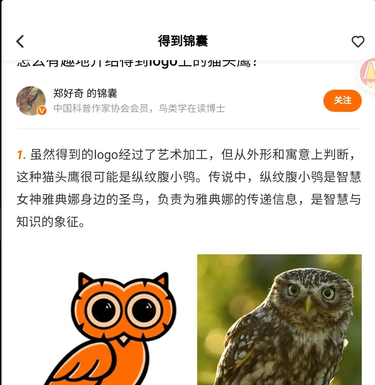 为什么“得到”用猫头鹰做logo？ - 宋马