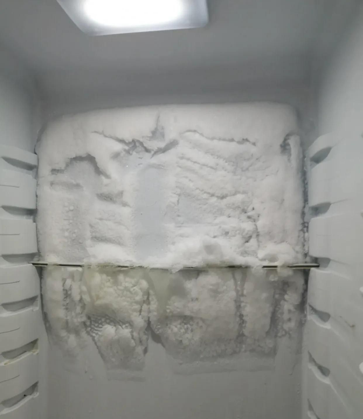 囤了3年菜，我终于清楚了3000元普通冰箱和1万元智能冰箱的区别