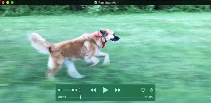 mov格式无法播放？4个方法轻松帮你解决 - 宋马