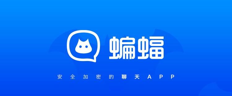 安全加密的聊天软件有哪些？2024全球5大安全聊天软件排行榜