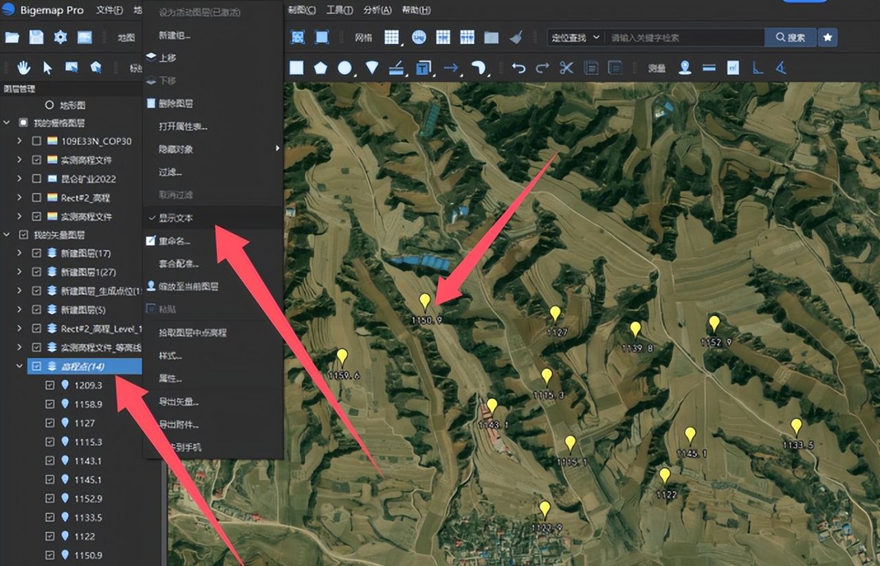 BigemapPro提取高程点（海拔DAT）
