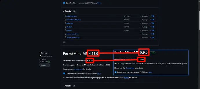 【跨世纪】用面板服开基岩版插件服的解决方案