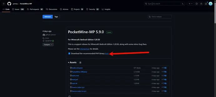 【跨世纪】用面板服开基岩版插件服的解决方案