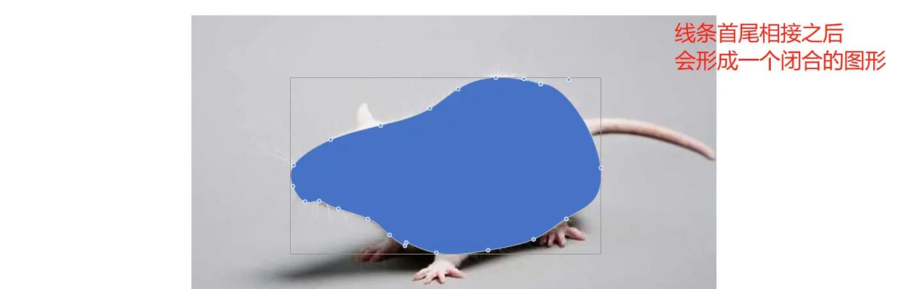 【无机纳米材料科研制图——Visio 0309】使用任意多边形工具描边出小鼠简图