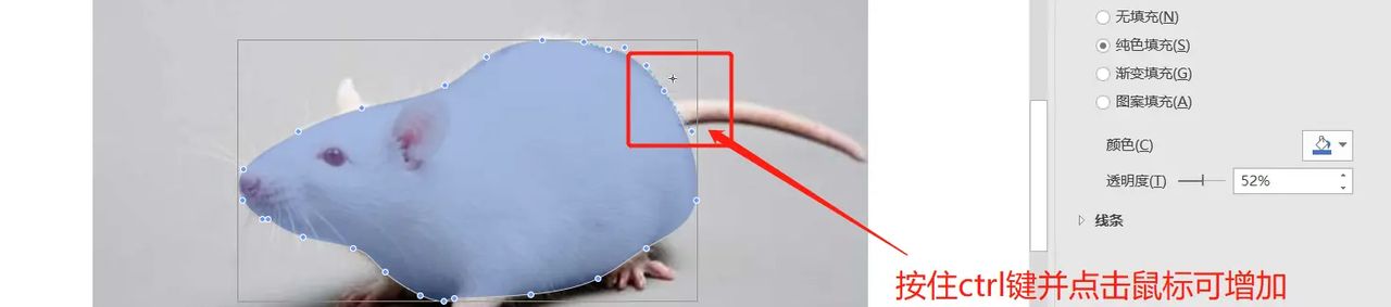 【无机纳米材料科研制图——Visio 0309】使用任意多边形工具描边出小鼠简图