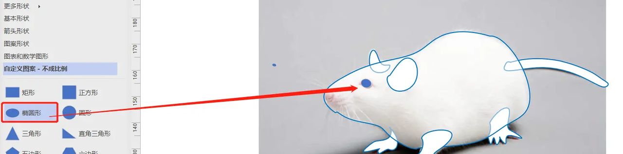 【无机纳米材料科研制图——Visio 0309】使用任意多边形工具描边出小鼠简图