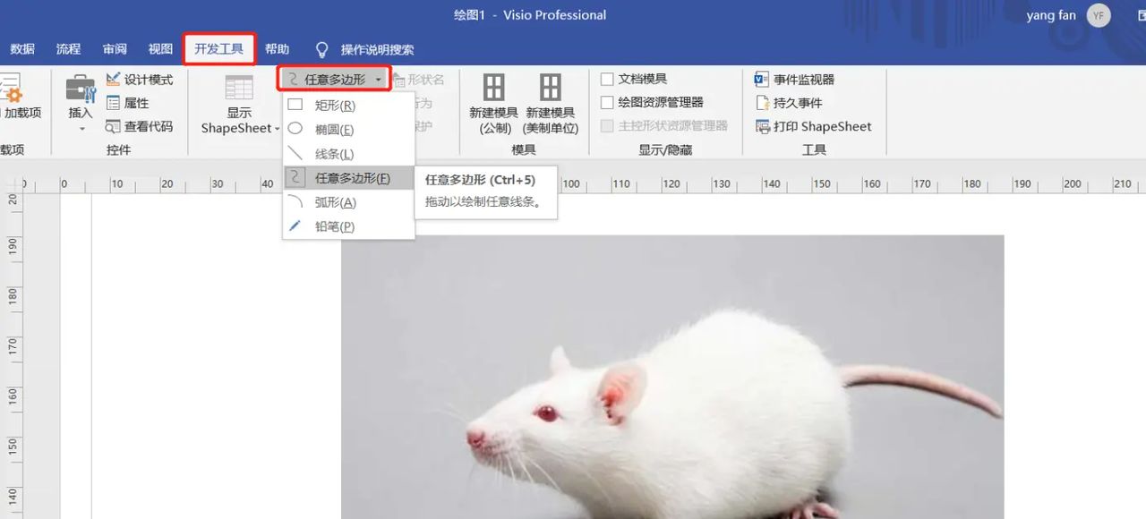 【无机纳米材料科研制图——Visio 0309】使用任意多边形工具描边出小鼠简图
