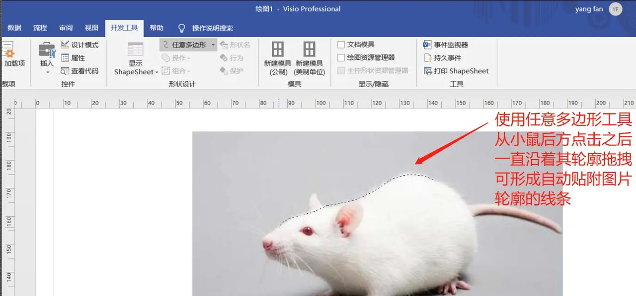 【无机纳米材料科研制图——Visio 0309】使用任意多边形工具描边出小鼠简图