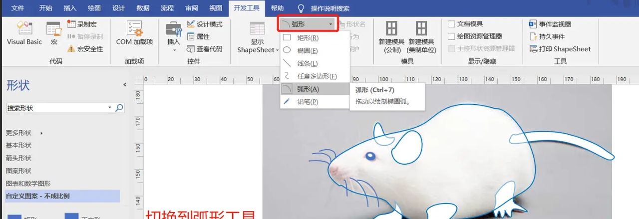 【无机纳米材料科研制图——Visio 0309】使用任意多边形工具描边出小鼠简图