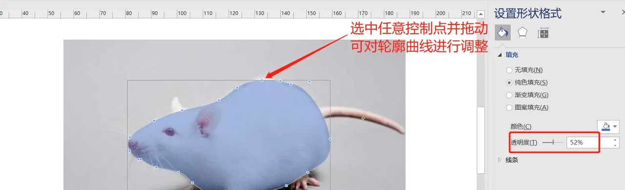 【无机纳米材料科研制图——Visio 0309】使用任意多边形工具描边出小鼠简图
