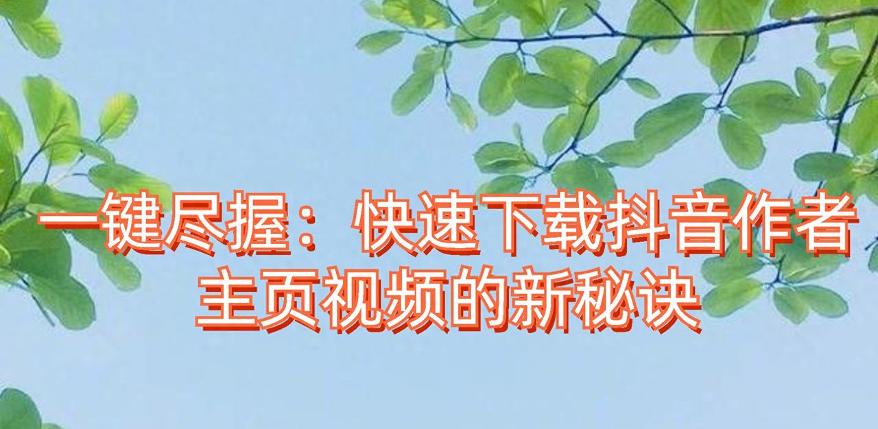 一键尽握：快速下载抖音作者主页视频的新秘诀 - 宋马