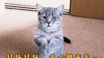微信｜怎样调节微信字体大小？——十万个怎样（第77集）