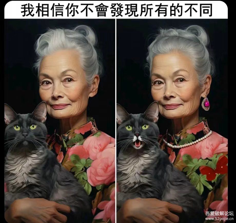 我就要找茬 - 图形对比工具（20240725更新）